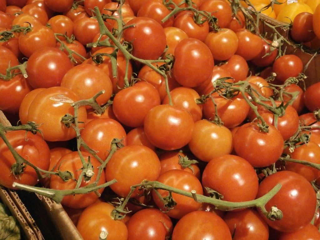 Diyetisyen ile Beslenme Uzmanı Farkı | Yozgat'ta Doğru Uzmanı Seçmek